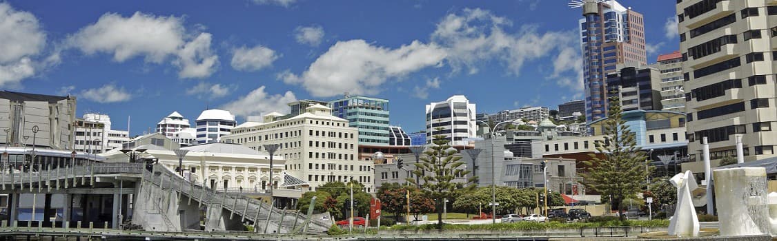 New Zealand city coastline